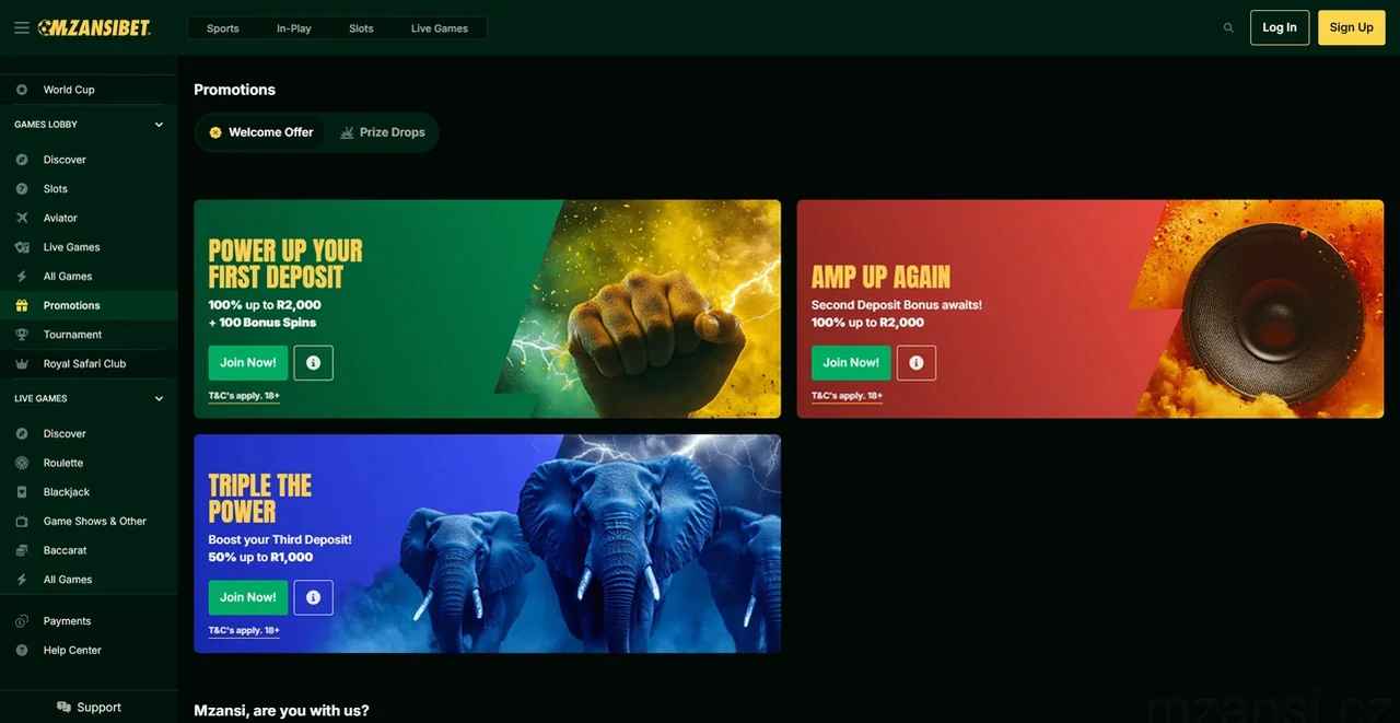 Mzansi Casino Casino